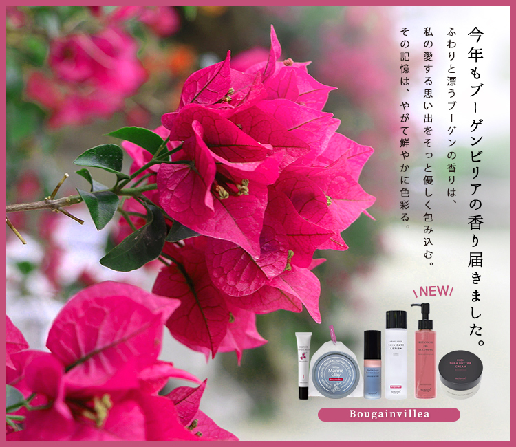 フラルネ　オルビス　首里石鹸 Vol.206 シンプルに、生きる。 | ブログ SuiSavon -首里石鹸-