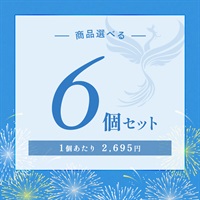【2026 SUMMER! SUMMER! SUMMER! キャンペーン】商品選べる6個セット
