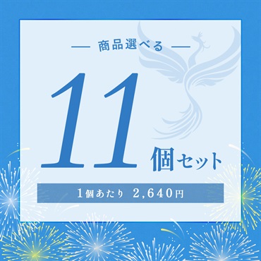 【2026 SUMMER! SUMMER! SUMMER! キャンペーン】商品選べる11個セット