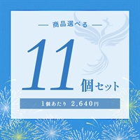 【2026 SUMMER! SUMMER! SUMMER! キャンペーン】商品選べる11個セット
