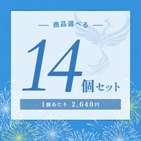 【2026 SUMMER! SUMMER! SUMMER! キャンペーン】商品選べる14個セット