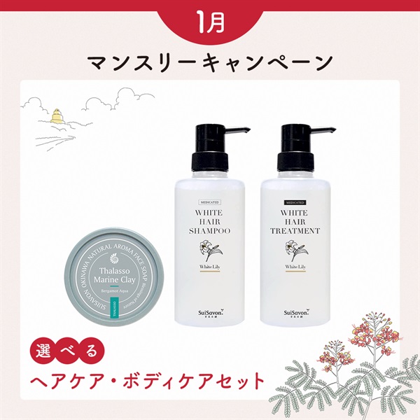 【商品選べる】1月マンスリーセット -ヘアケアセット-