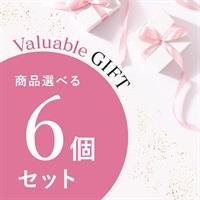 【Valuable Gift 2026】商品選べる6個セット