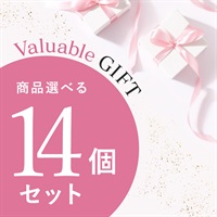【Valuable Gift 2026】商品選べる14個セット