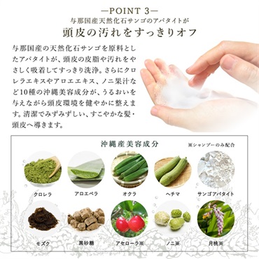 薬用デオドラントシリーズ スカルプケアシャンプーボトルイン (カーブチーの香り) 詳細画像