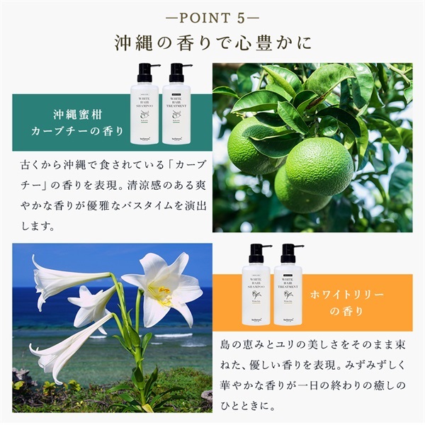 薬用デオドラントシリーズ スカルプケアシャンプーボトルイン (カーブチーの香り) 詳細画像