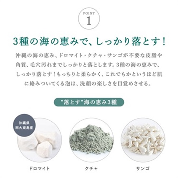 琉球のタラソマリンクレイ洗顔石鹸（島レモンの香り）※スパウトパウチタイプ 詳細画像
