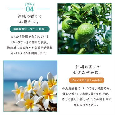 沖縄産マリンクレイシャンプークリームタイプ　パウチ（プルメリア&リリーの香り） 詳細画像