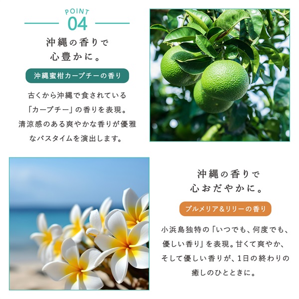 沖縄産マリンクレイシャンプークリームタイプ　パウチ（カーブチーの香り） 詳細画像