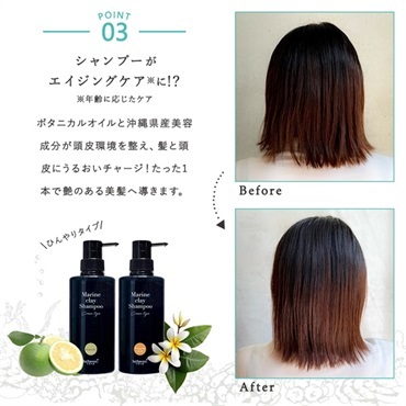 【BUY3GET1FREE】沖縄産マリンクレイシャンプー クリームタイプ3個（ボトル1個、パウチ2個）+1個（パウチ）プレゼント 詳細画像