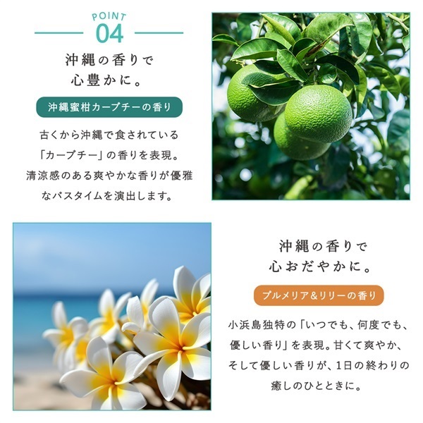 【BUY3GET1FREE】沖縄産マリンクレイシャンプー クリームタイプ3個（ボトル1個、パウチ2個）+1個（パウチ）プレゼント 詳細画像