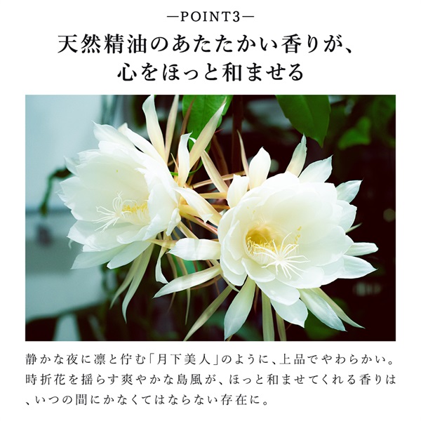 【世界手洗いの日】淡雫モイスチャーハンドウォッシュ(月下美人の香り)2点セット 詳細画像