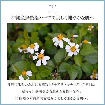 SuiRichAroma 淡雫ブライトニングエッセンス 金箔-KINPAKU- 詳細画像