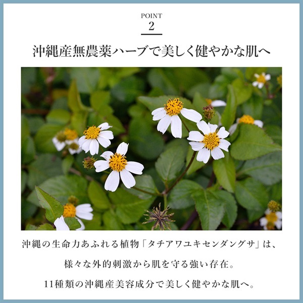 SuiRichAroma 淡雫ブライトニングエッセンス 金箔-KINPAKU- 詳細画像