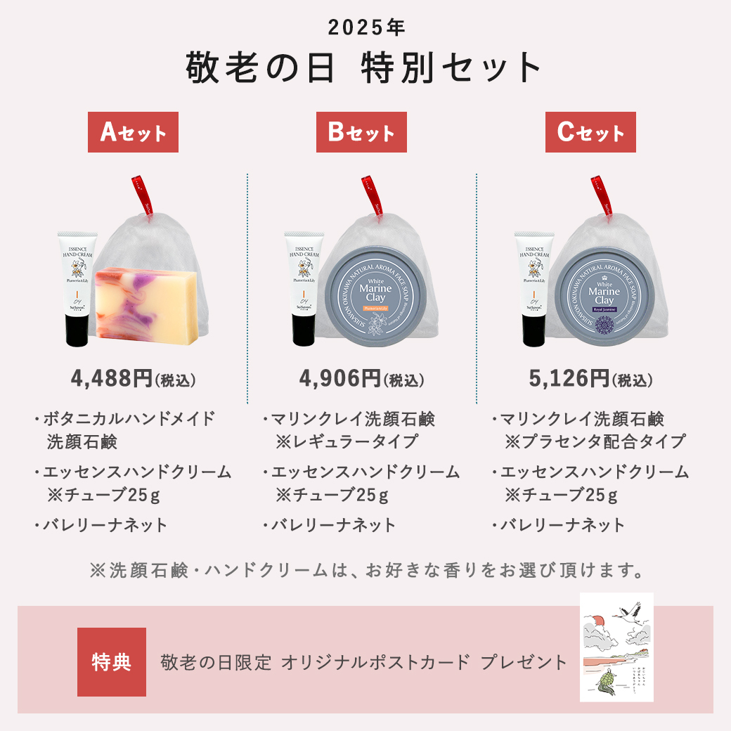 SuiSavon 首里石鹸　スキンケアセット SuiSavon -首里石鹸- オリジナル 潤いトータルケアセット: 衣類