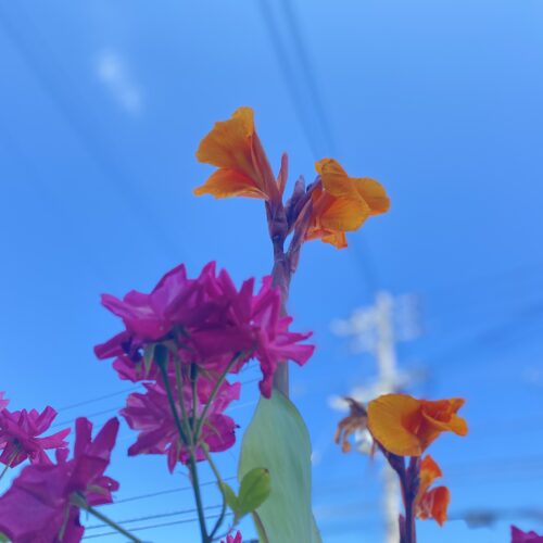 首里散歩 Vol.200 今でも持ち続ける“ 好き ”。2023年5月21日