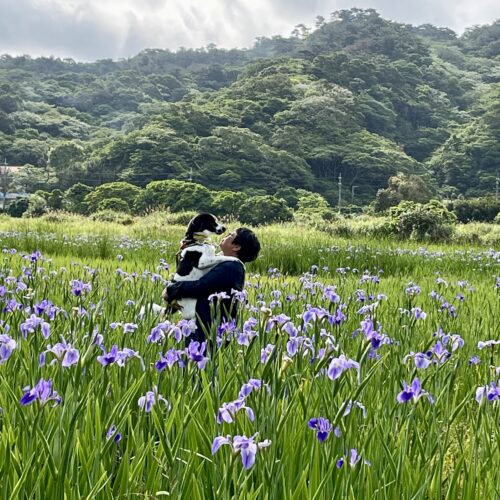 首里散歩 Vol.350 オクラレルカの花言葉