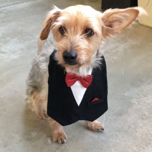 首里散歩 Vol.402 毎年恒例の七五三