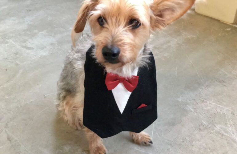 首里散歩 Vol.402 毎年恒例の七五三