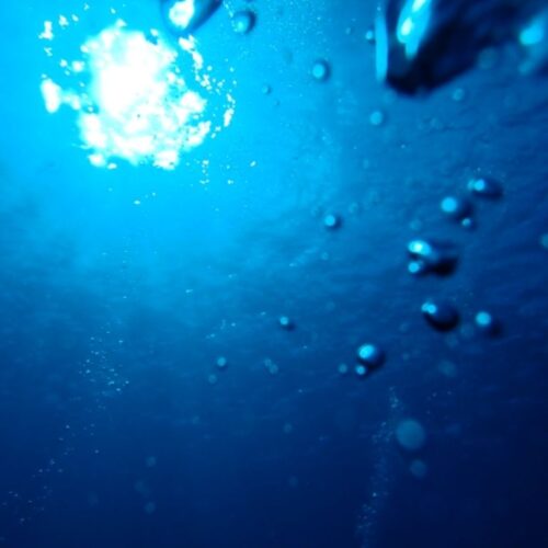 首里散歩 Vol.413 あの青と、あの人たちと