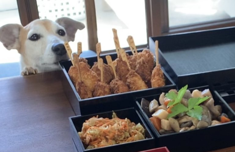 首里散歩 Vol.419 おせちとオードブル