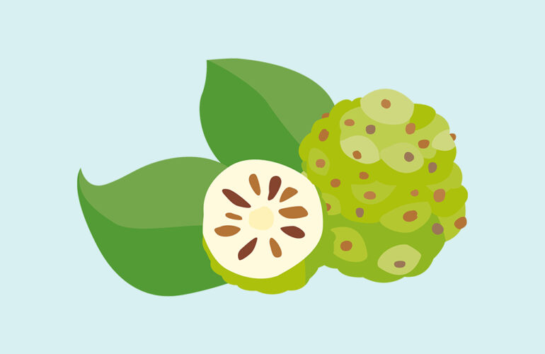 Vol.44 世界の秘密