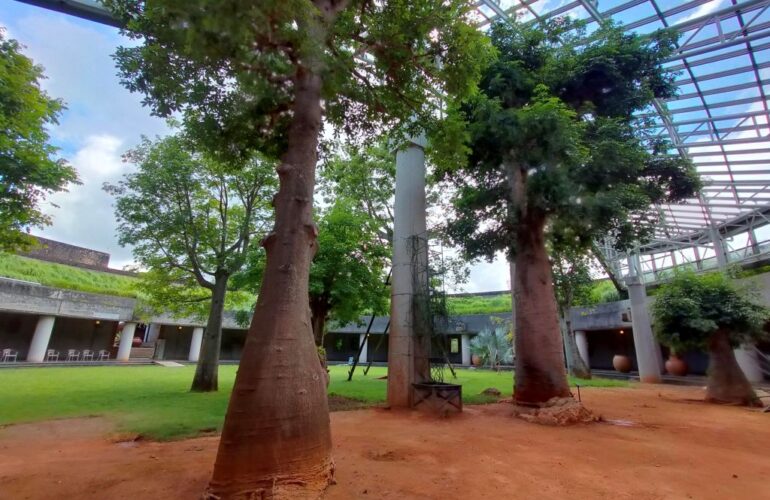 首里散歩 Vol.432 歩幅を合わせて