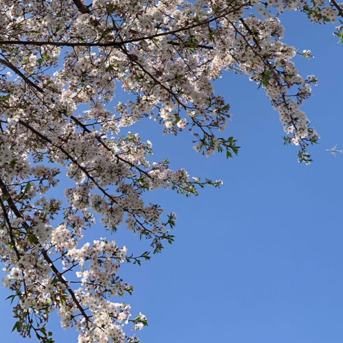 首里散歩 Vol.438 いろめがね