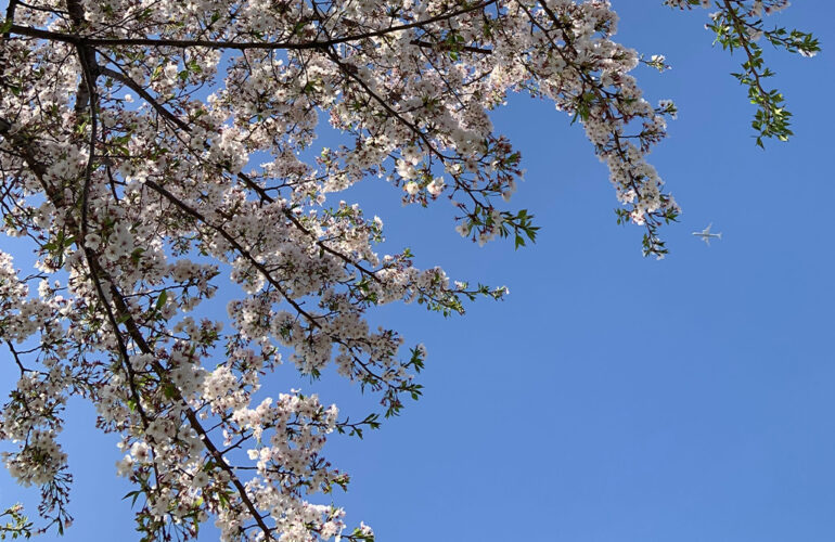 首里散歩 Vol.438 いろめがね