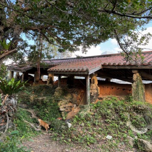 首里散歩 Vol.436 土の色