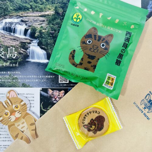 首里散歩 Vol.441 犬派か、猫派か