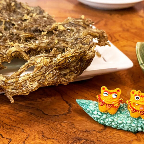 Vol.47 この島に根付く。