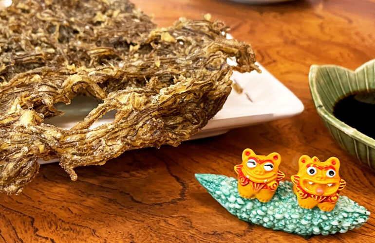 Vol.47 この島に根付く。